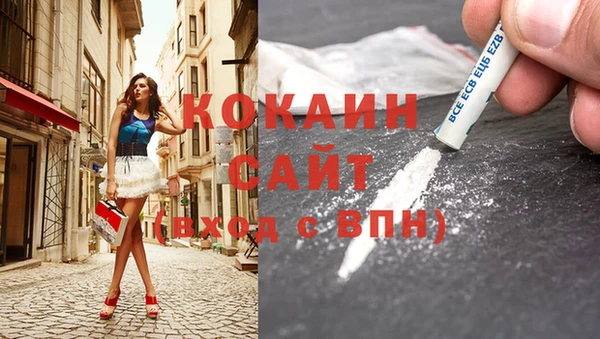 хмурый Каменка
