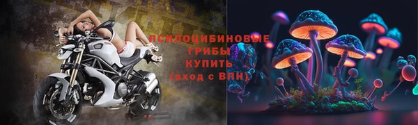 хмурый Каменка
