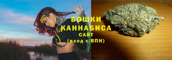 ГАЛЛЮЦИНОГЕННЫЕ ГРИБЫ Инсар