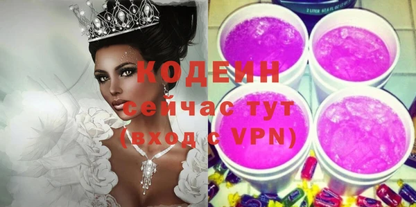 ГАЛЛЮЦИНОГЕННЫЕ ГРИБЫ Инсар