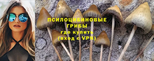 молекула духа Инта