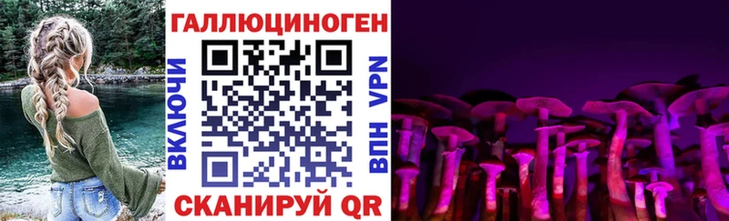 Галлюциногенные грибы Psilocybe  Инта 